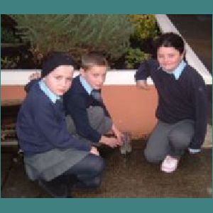 Third class rain gauges 7.jpg